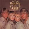 Bucks Fizz, 1981
