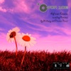 African Daisies - Single
