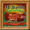 Mi Burrito Sabanero (Instrumental) song lyrics
