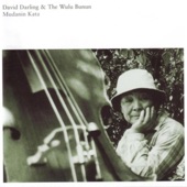 David Darling & The Wulu Bunun - Macilumah