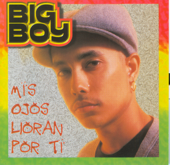 Mis Ojos Lloran Por Ti (feat. Angel Lopez) - Big Boy Cover Art