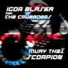 Stream & download Muay Thaï Scorpion - Single