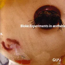 Experiments In Aesthetics - Bloke Experiments In Aesthetics - Bloke