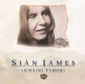 Sian James - Aderyn Pur