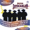 Exitos Intocables - Serie Homenaje