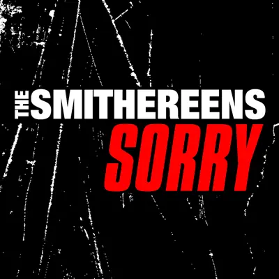 Sorry - Single - The Smithereens