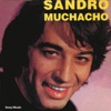 Muchacho, 2004