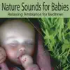 Nature Sounds for Babies: Relaxing Ambiance for Bedtime, Naptime, Baby Lullabies, Lullabys for Babies album lyrics, reviews, download