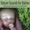 Nature Sounds for Babies: Relaxing Ambiance for Bedtime, Naptime, Baby Lullabies, Lullabys for Babies
