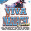 Viva el Mariachi Vol. 10 Instrumental