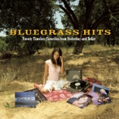 Bluegrass Hits - Twenty Timeless Favorites from Yesterday and Today artwork