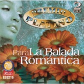 Premio Platino para la Balada Romántica - 40 Éxitos artwork