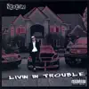Living In Trouble album lyrics, reviews, download