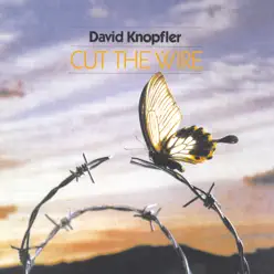 Cut The Wire - David Knopfler