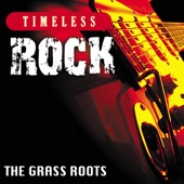 The Grass Roots - Let's Live for Today