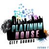 Platinum House, Vol. 1