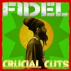 Fidel - La Puerta Negra