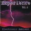 Experience - Electronic Ambient Vol. 4