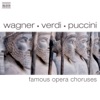 Famous Opera Choruses