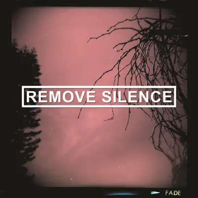 Fade - Remove Silence