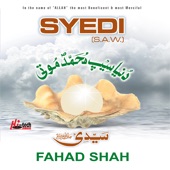 Yeh Meri Zindagi (salam) artwork