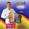 Danses Vol. 5 : 12 Polkas A L'accordéon