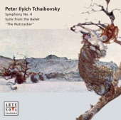 Trio Op. 88 in A minor, "Phantasiestücke" for violin, cello and piano: Duett artwork
