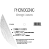 Orange Leaves - EP - Phonogenic