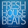 Fresh House Beats 2010, Vol. 1, 2010