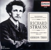 Strauss: Piano Trios Nos. 1 and 2 artwork