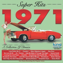 Beverly Bremers - Don’t Say You Don’t Remember