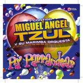Miguel Angel Tzul, Su Marimba Orquesta - Merengue Mix 2: Don't Worry Be Happy