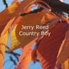 Jerry Reed - Honey Chile