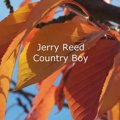 Country Boy - Jerry Reed