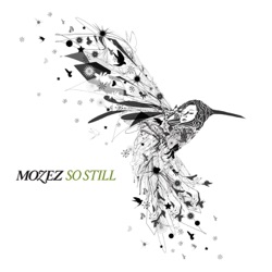 Mozez - Beautiful Day