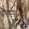 Between Worlds album lyrics, reviews, download