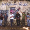 Harmonic Tribe - The Awakening