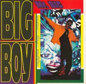 Mr. Big, 1993
