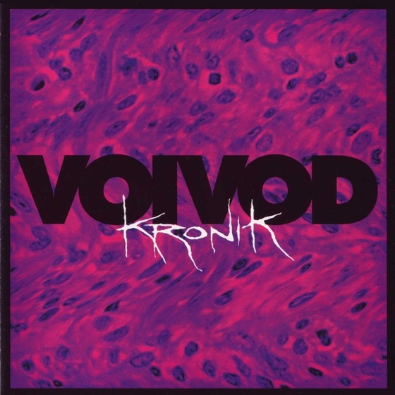 Cover artwork for Vortex