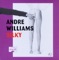 Agile, Mobile and Hostile - Andre Williams lyrics