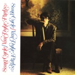 Van Dyke Parks - Widow's Walk