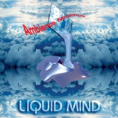Liquid Mind artwork