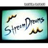 Stream Dreams, 2010