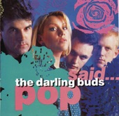 The Darling Buds - Uptight