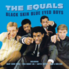 Black Skin Blue Eyed Boys - The Equals