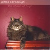 James Cavanaugh - I'll Keep Holding On