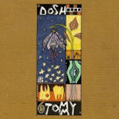 Dosh - country road x