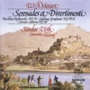 Camerata Salzburg & Lukas Hagen - Divertimento In B Flat Major, K. 137, "Salzburg Symphony No. 2" : I. Andante