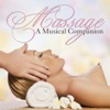 Massage - A Musical Companion, 2011