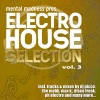 Mental Madness Presents Electro House Selection, Vol. 3